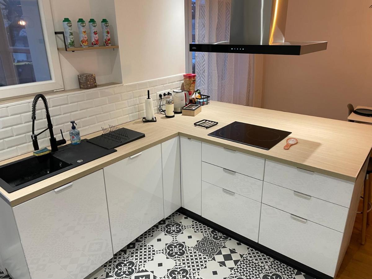 Appartement Du Lion Belfort Kültér fotó